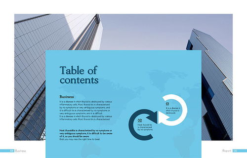 現(xiàn)代國(guó)際商務(wù)貿(mào)易企業(yè)宣傳產(chǎn)品業(yè)務(wù)科技會(huì)展畫冊(cè)設(shè)計(jì)